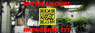мдпв Кингисепп