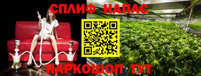 мдпв Кингисепп