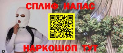 мдпв Кингисепп