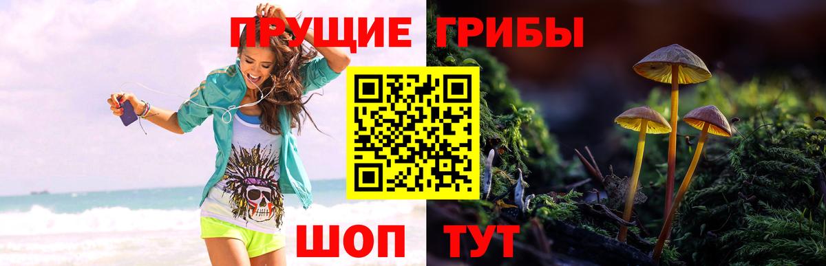 Псилоцибиновые грибы Magic Shrooms  Вход с VPN  Ирбит  Псилоцибиновые грибы прущие грибы 